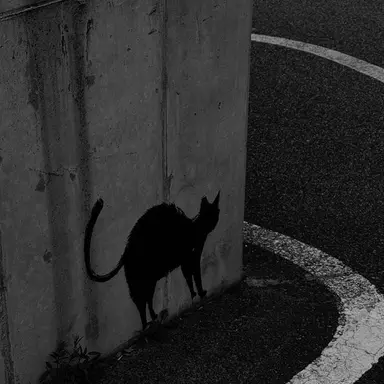 Profile image of 우융