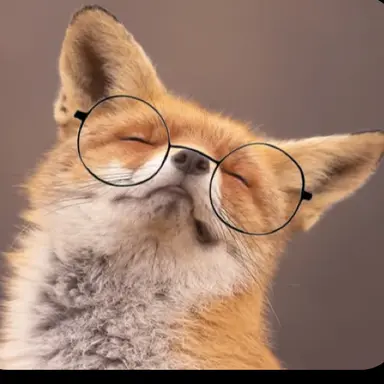 Profile image of 여우