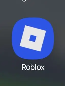 MereUrine6114의 로블 채팅 시위용