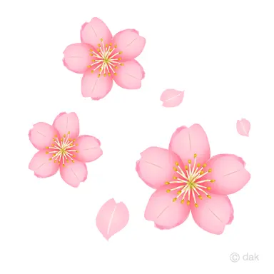 Profile image of 桜