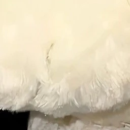김 현