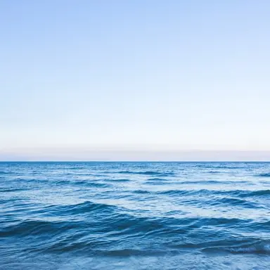 Profile image of 인간들