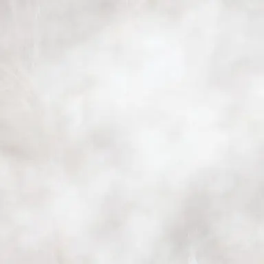 Profile image of タカシ