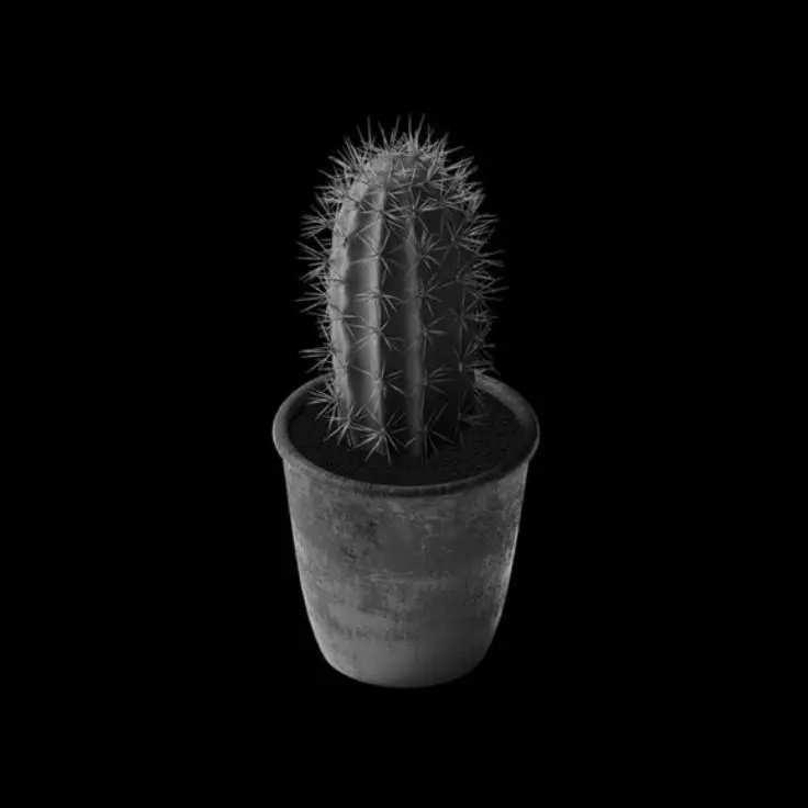 2YEAP의 📞 별볼일 없는 아저씨?