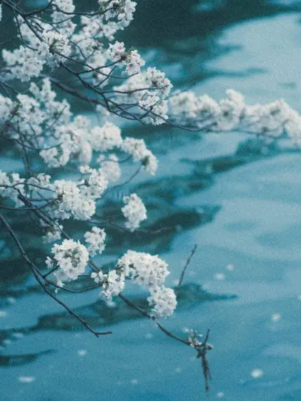 natuyasumitteunnko의 病気になったあなた‪🫵🏻🫵🏻
