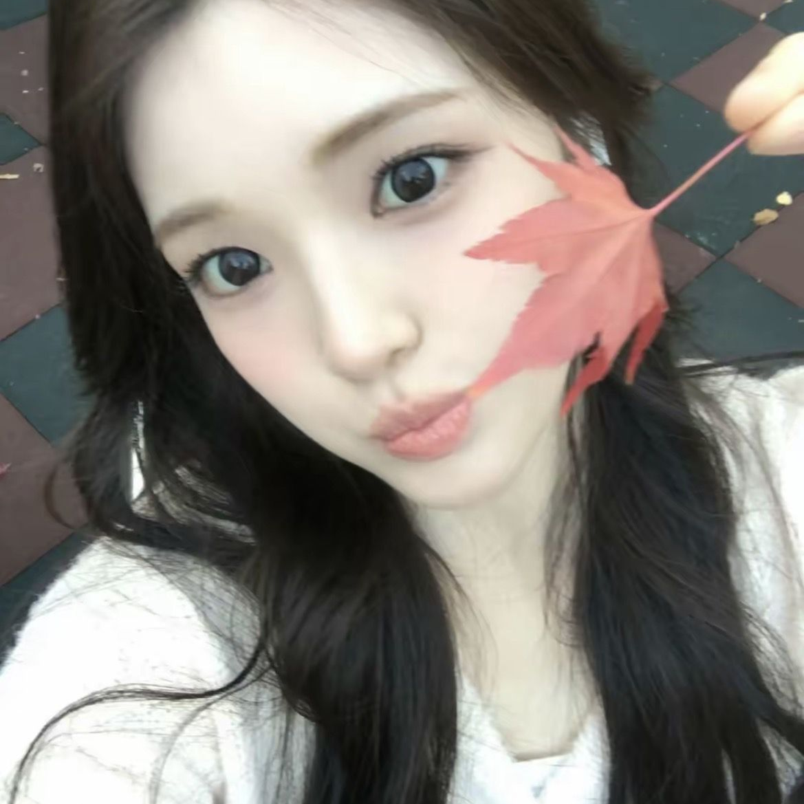 개인용 대표 이미지