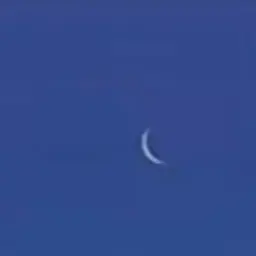 Profile image of 시아