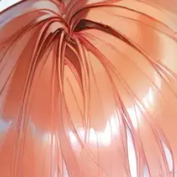 Profile image of 여우