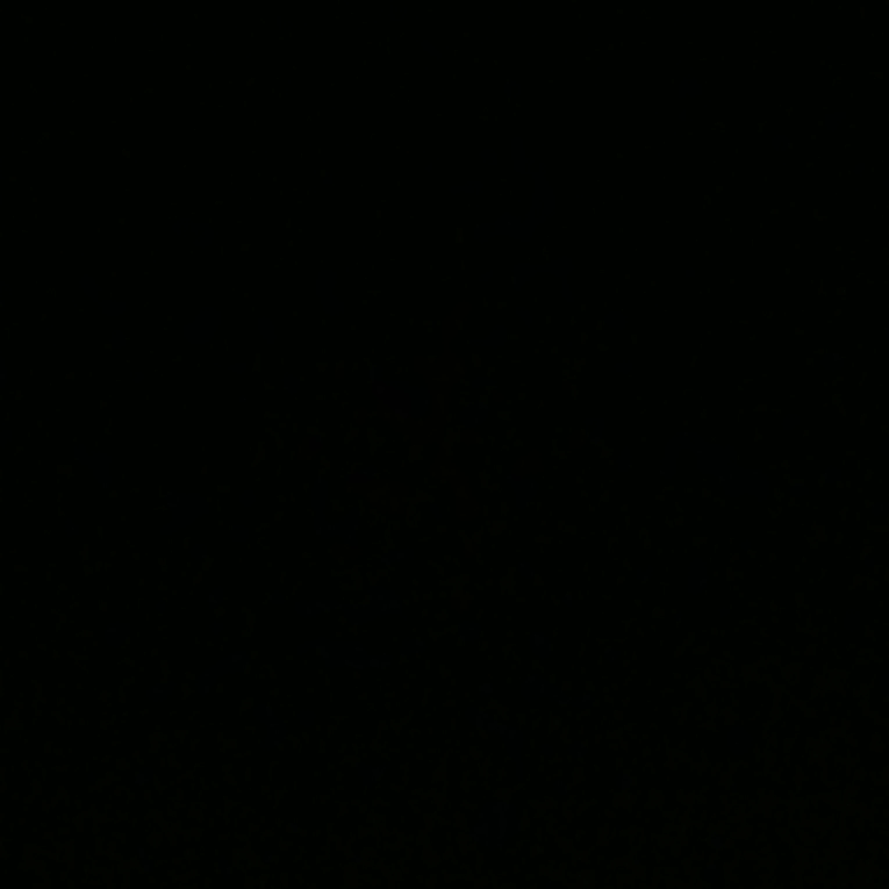새롬