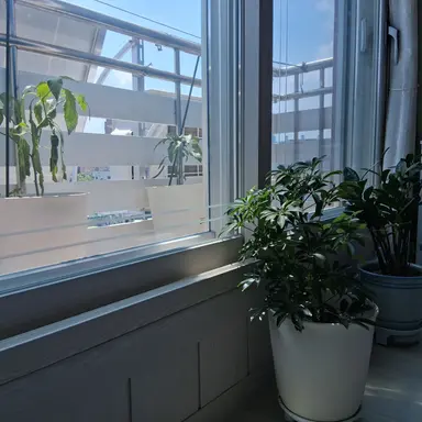 Profile image of 김   이   한