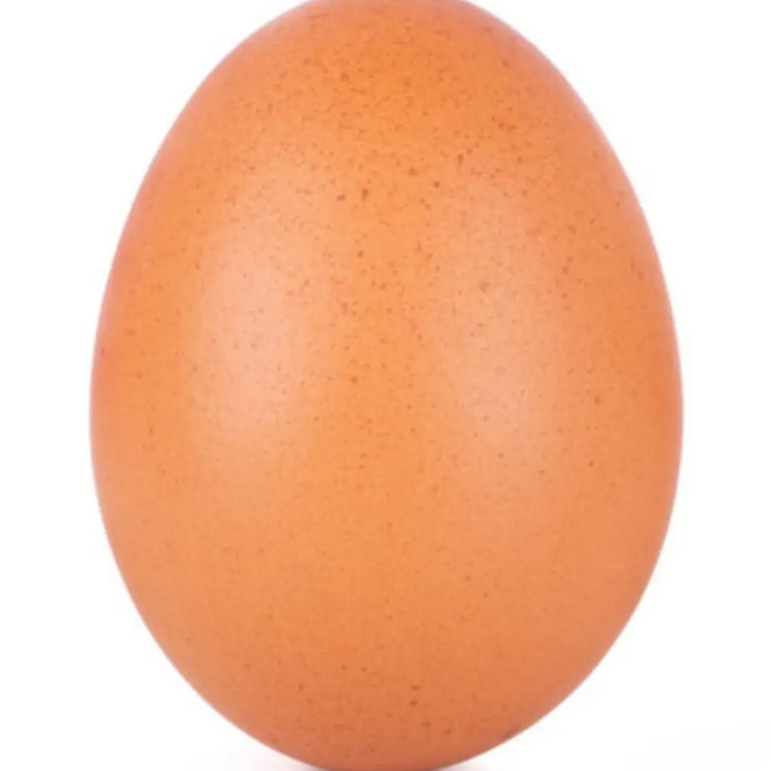 LemonyJade1924의 Egg