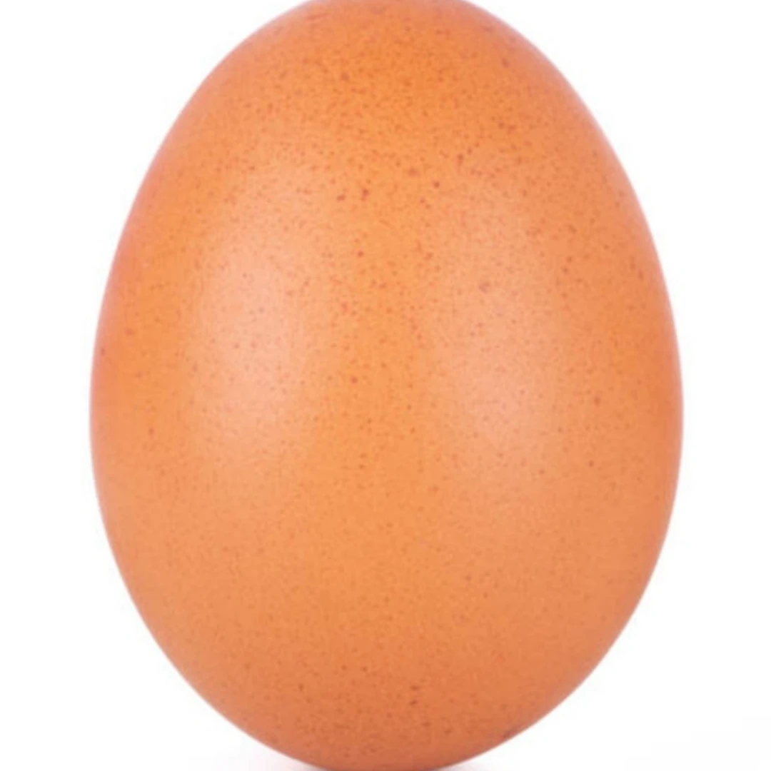 에그egg