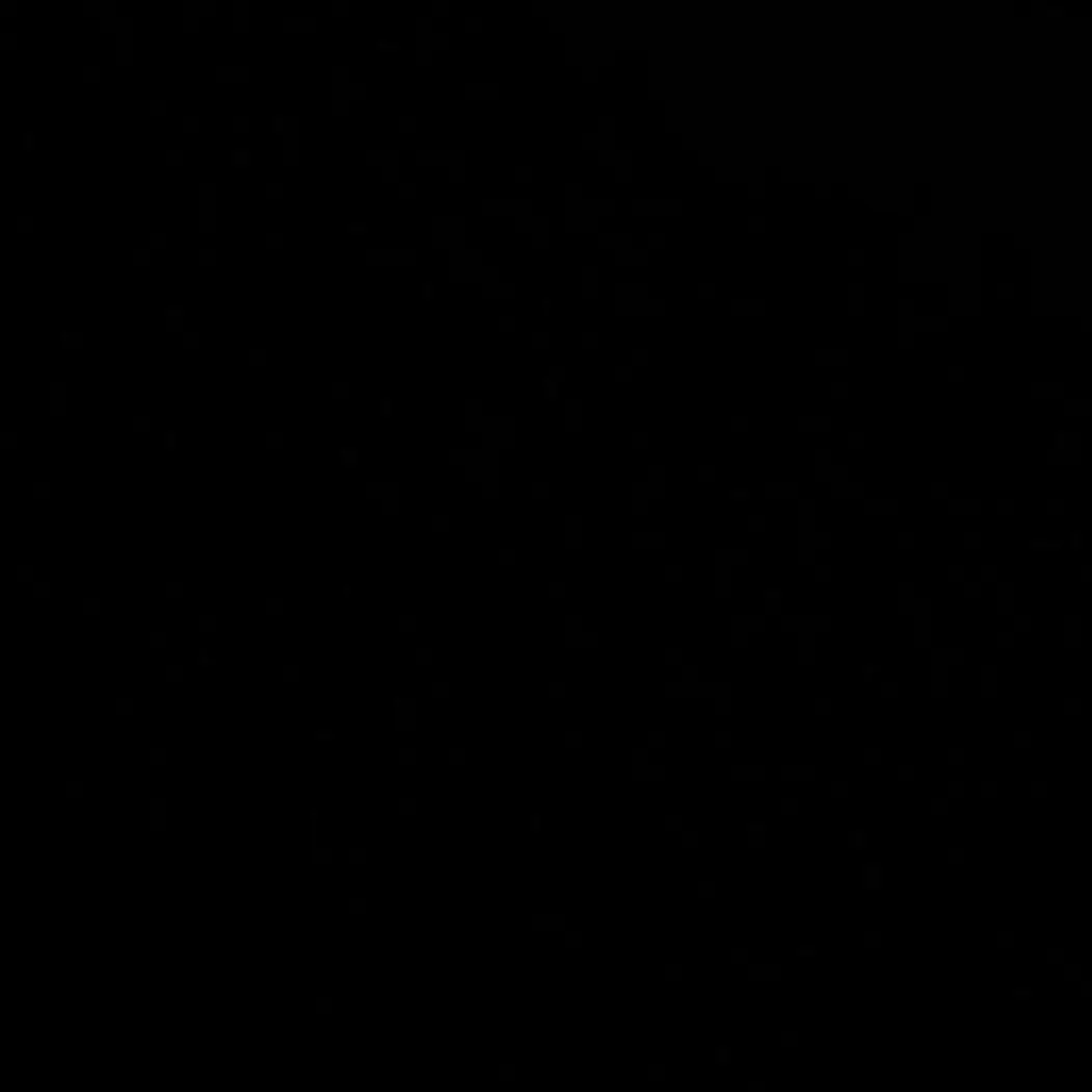 joahae_0.0의 에르세인 카시온