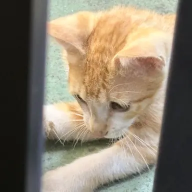 Profile image of 빈