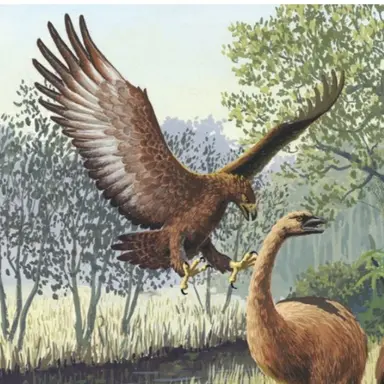 Profile image of 하스트수리