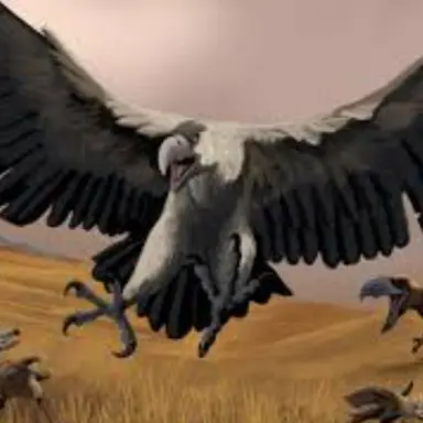 Profile image of 아르젠타비스