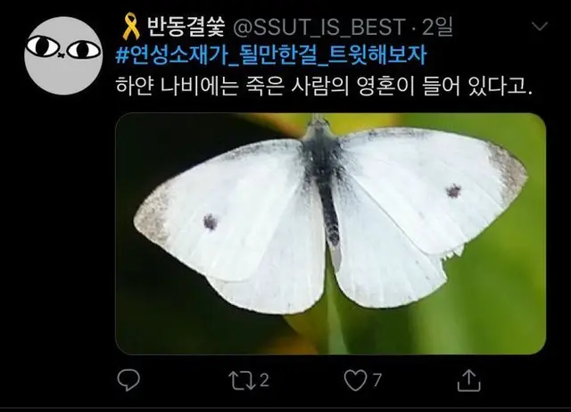 Profile image of 코이니