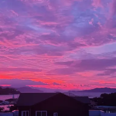 Profile image of 김민정