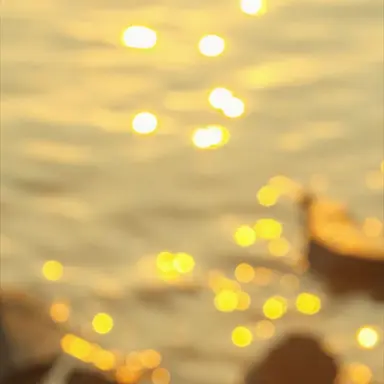 Profile image of 김 각별