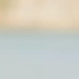 Profile image of ねね