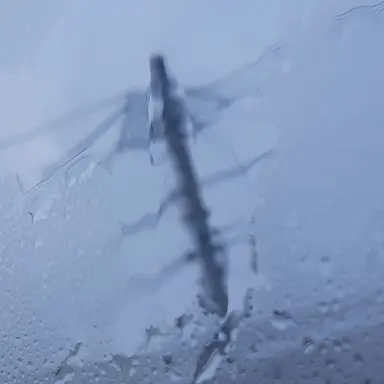 Profile image of 天竺