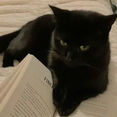 Profile image of 마에다 리쿠