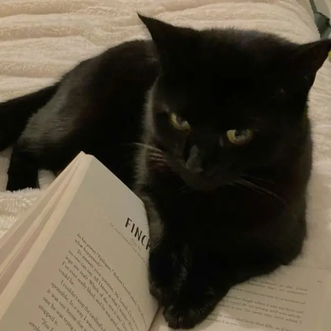 I_love_you_1127의 마에다 리쿠