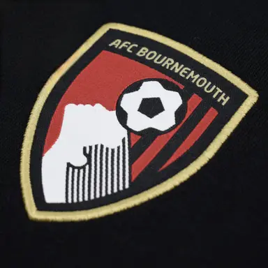 Profile image of ボーンマスオーナー