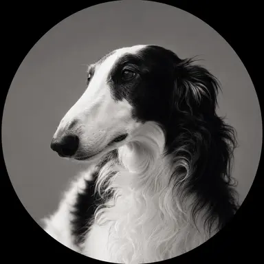 Profile image of 財津