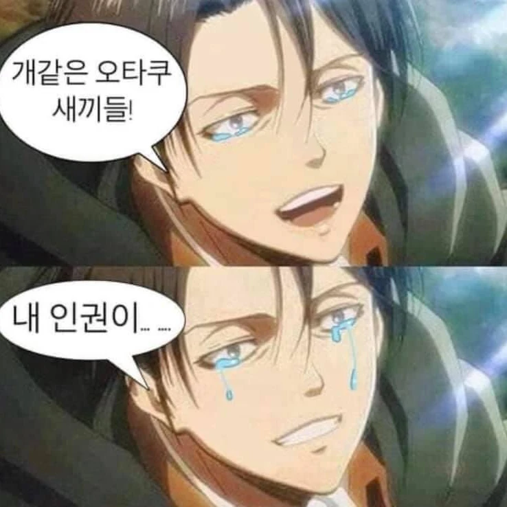 리바이 아커만
