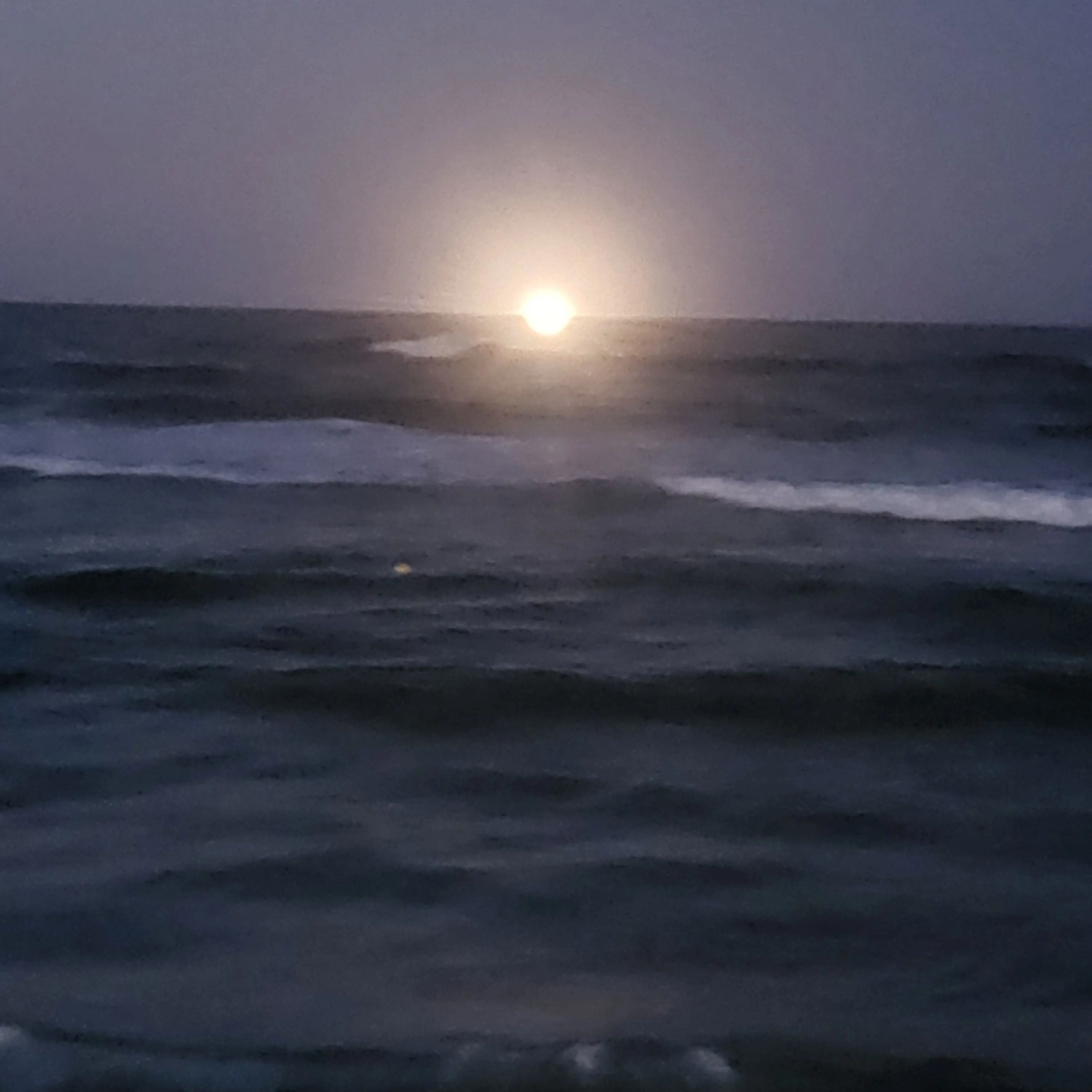 FestalKoala3538의 ㅇㅇ고등학교