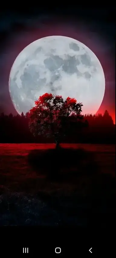 Profile image of Kairos