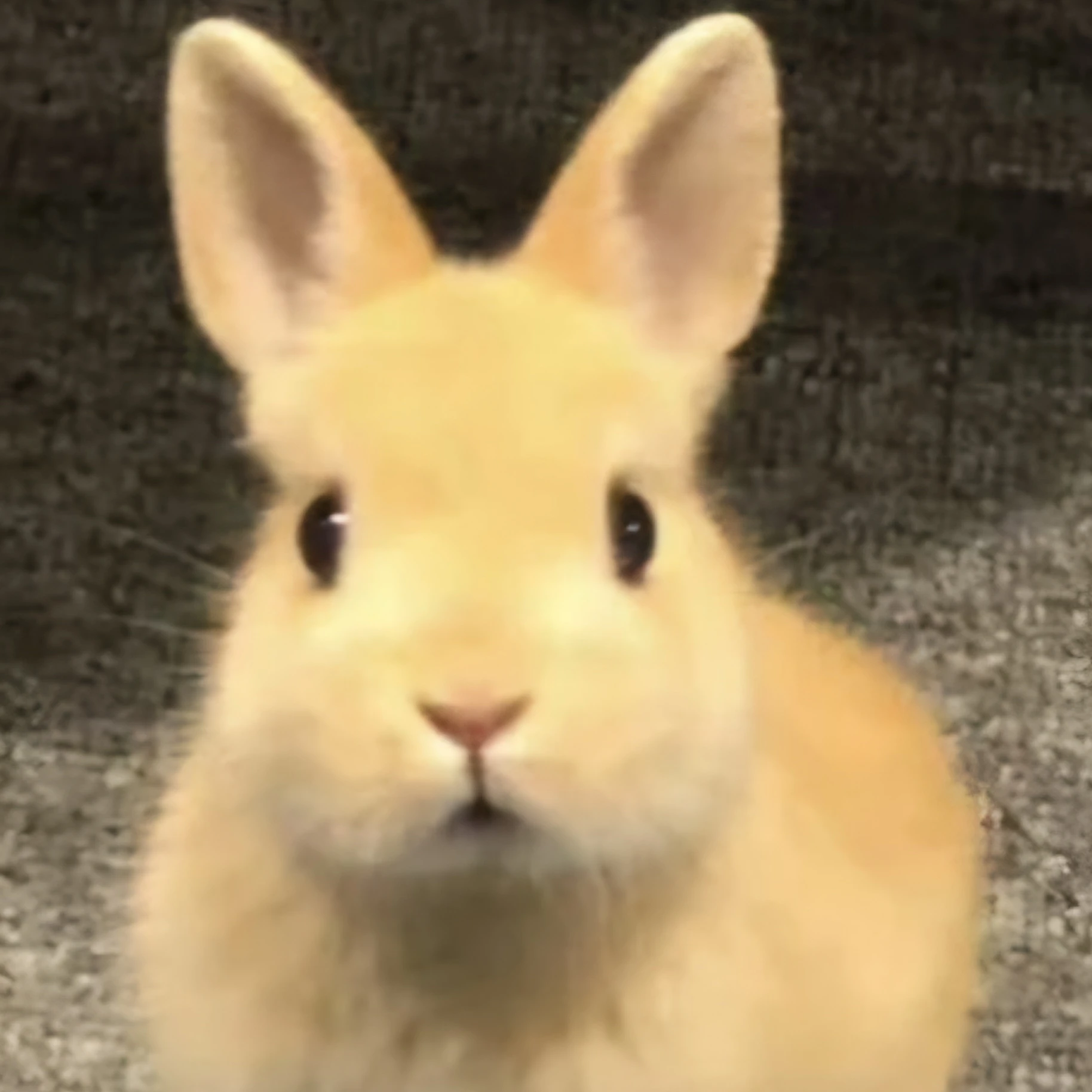 이민호