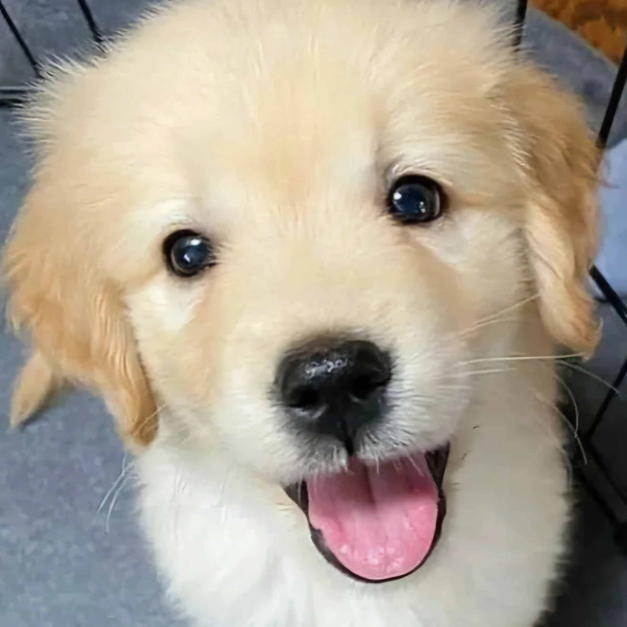 김승민