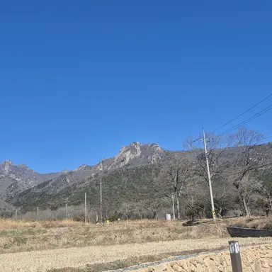 Profile image of 여우