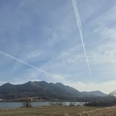 Profile image of 주둘