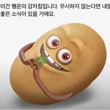 Profile image of 여우