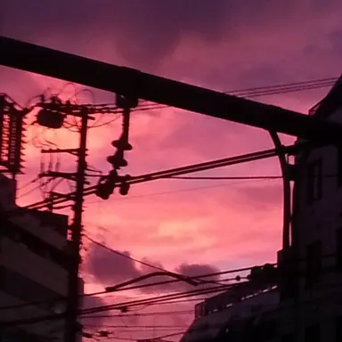 Profile image of 舞香