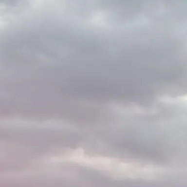 Profile image of 岸優太