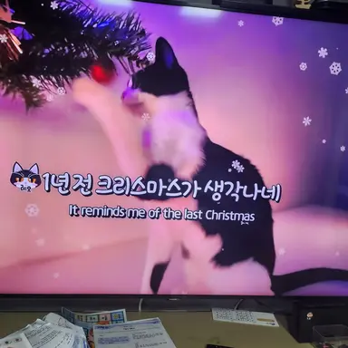 Profile image of 레오