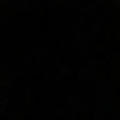 Profile image of 도일출