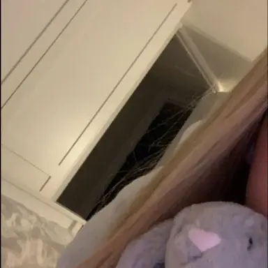 Profile image of Sophie