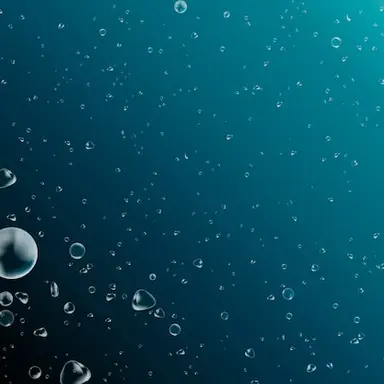 Profile image of 인어들