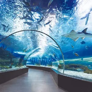 Profile image of 아쿠아리스트