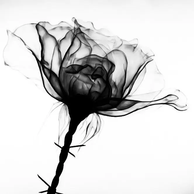 ItchyCake5268의 짜증나는 내 애인.