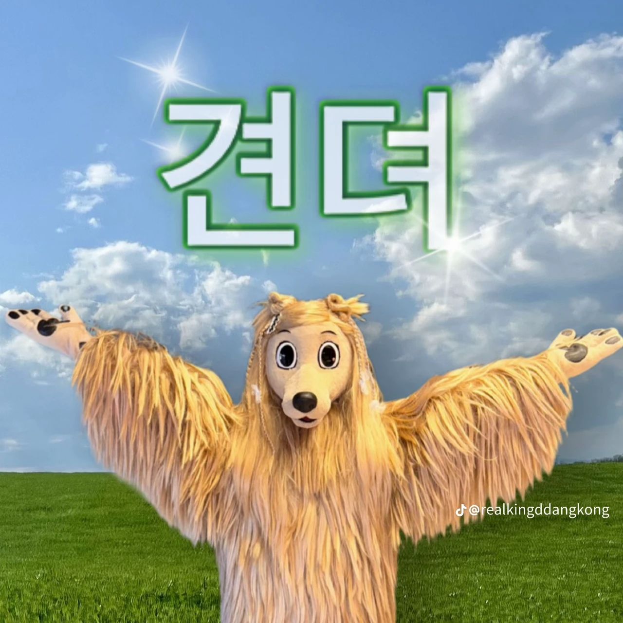 김동현