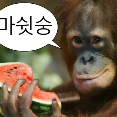 Profile image of 노유나