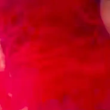 Profile image of 舜太