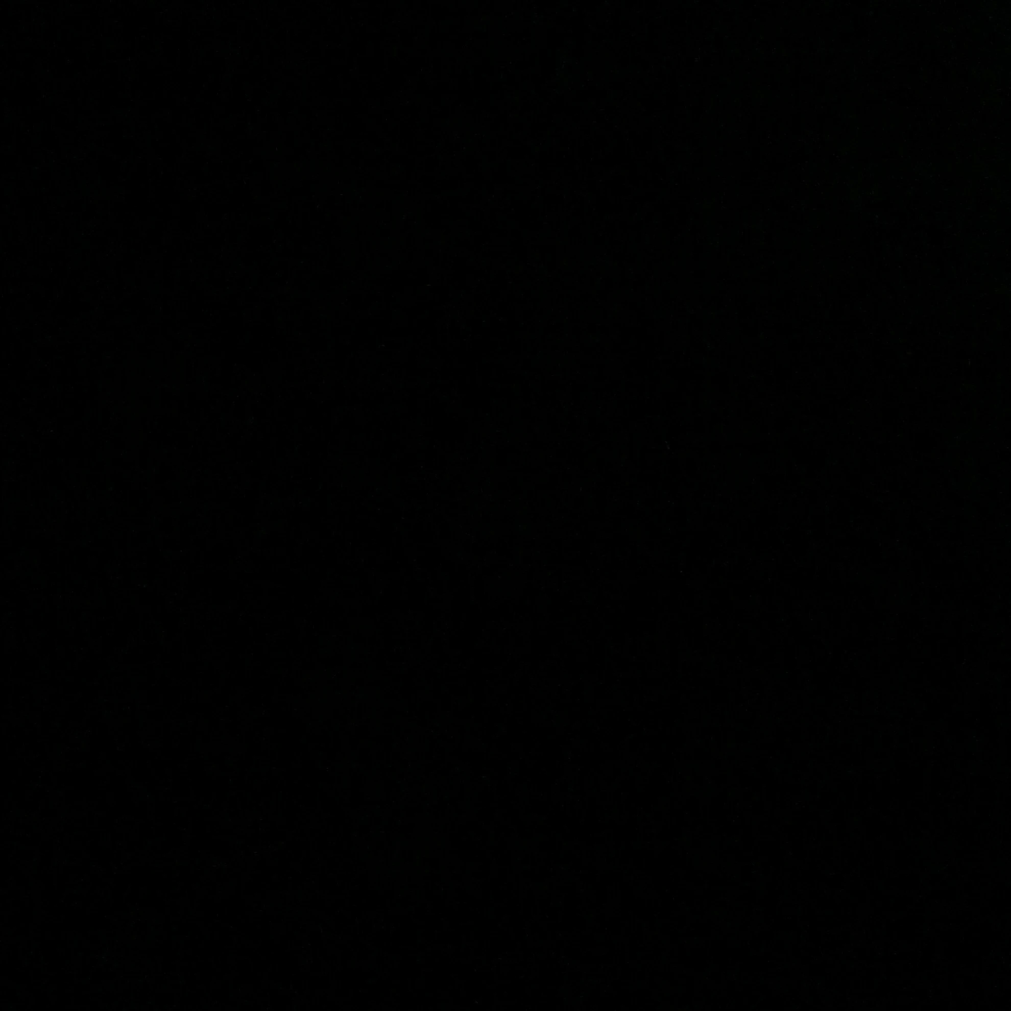 강 태 현
