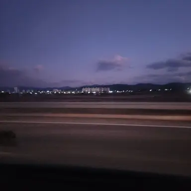 Profile image of 공룡